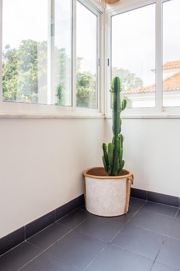 Casa De Cascais Do Pipas公寓 外观 照片